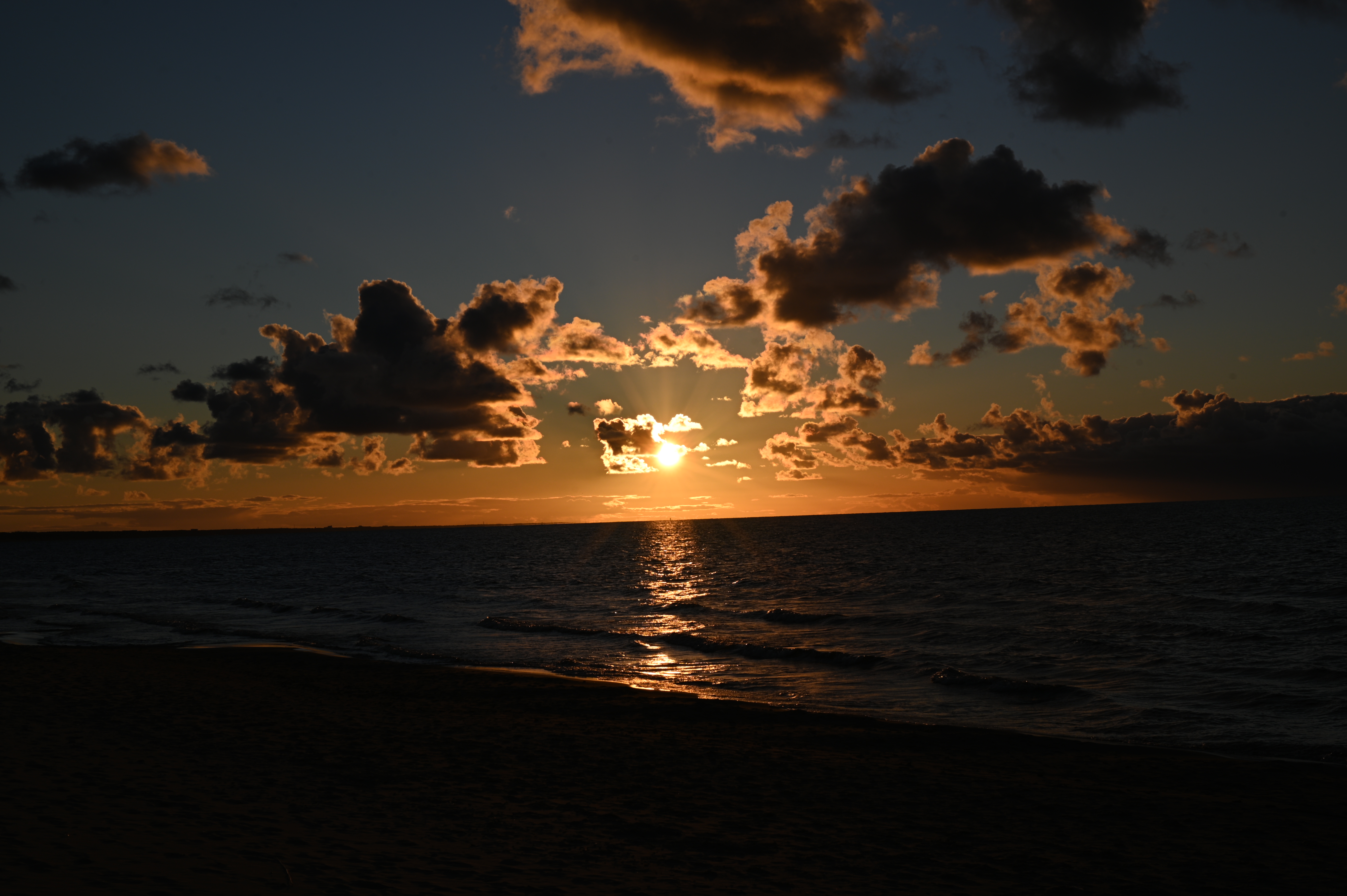 2025/10/18 - walk/DSC_0353.JPG